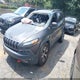1C4PJMBS5FW687743 2015 Jeep Cherokee Trailhawk auction photo thumbnail 2