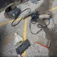 3B7HC12Y1WM244989 1998 Dodge Ram 1500 St auction photo thumbnail 12
