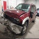 1GNDT13S162161988 2006 Chevrolet Trailblazer Lt auction photo thumbnail 6