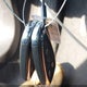 1G1ZD5STXRF149860 2024 Chevrolet Malibu Fwd 1Lt auction photo thumbnail 11