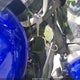 JKBVNCA105B514206 2005 Kawasaki Vn800 auction photo thumbnail 11