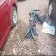 2C3CA4CG0BH531860 2011 Chrysler 300 auction photo thumbnail 12