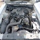 1FAFP40474F132231 2004 Ford Mustang auction photo thumbnail 10