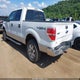 1FTFW1EF7DFC63410 2013 Ford F-150 Xlt auction photo thumbnail 3