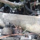 1HTJGTKT8DJ305113 2013 Caterpillar Ct660 auction photo thumbnail 9