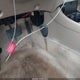 1HGEM22562L092362 2002 Honda Civic Lx auction photo thumbnail 11