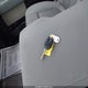 1FTMF1CM7BFD05791 2011 Ford F-150 Stx auction photo thumbnail 11