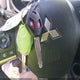 4A4AP3AW6FE053598 2015 Mitsubishi Outlander Sport Es auction photo thumbnail 11