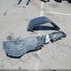 1C4JJXR64NW256714 2022 Jeep Wrangler 4Xe Unlimited Rubicon 4X4 auction photo thumbnail 12