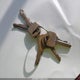 1FMDU15H1GLA94355 1986 Ford Bronco U100 auction photo thumbnail 11