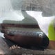 SHSRD78946U436599 2006 Honda Cr-V Se auction photo thumbnail 9