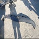 1GCEK19V76Z301731 2006 Chevrolet Silverado 1500 Lt1 auction photo thumbnail 12