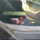 2C3CDZC94MH664372 2021 Dodge Challenger auction photo thumbnail 9