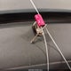 6L67S5Q203966 1975 Cadi Eldorado auction photo thumbnail 11
