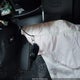2HGFE2F51RH514220 2024 Honda Civic Sport auction photo thumbnail 11