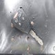 1B3CC5FB6AN235406 2010 Dodge Avenger R/T auction photo thumbnail 11