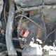 1NXBR32E88Z029917 2008 Toyota Corolla Ce auction photo thumbnail 18