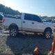 1FTPW14V79KC93700 2009 Ford F-150 Fx4/King Ranch/Lariat/Platinum/Xl/Xlt auction photo thumbnail 13