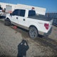 1FTPW14V79KC93700 2009 Ford F-150 Fx4/King Ranch/Lariat/Platinum/Xl/Xlt auction photo thumbnail 3