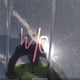 3C4PDCAB9FT714290 2015 Dodge Journey Se auction photo thumbnail 10