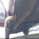 1FTRF18W4XNB60691 1999 Ford F-150 Lariat/Work Series/Xl/Xlt auction photo thumbnail 6