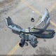 1HGCT1B71FA013879 2015 Honda Accord Ex auction photo thumbnail 12