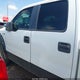 1FTRW14809FA35529 2009 Ford F-150 Xl/Xlt auction photo thumbnail 14