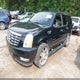 1GYUKCEF6AR154018 2010 Cadillac Escalade Premium auction photo thumbnail 2