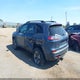 1C4PJMBX9KD369514 2019 Jeep Cherokee Trailhawk 4X4 auction photo thumbnail 3