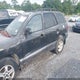 KM8SC13D72U335137 2002 Hyundai Santa Fe Gls/Lx auction photo thumbnail 6