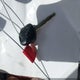 4T1BF1FK2EU734267 2014 Toyota Camry L auction photo thumbnail 11