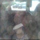 KNDEUCA23M7058323 2021 Kia Seltos S Turbo auction photo thumbnail 8