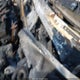 1G11B5SA4DF349529 2013 Chevrolet Malibu 1Ls auction photo thumbnail 9