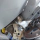 2CNDL13F456167583 2005 Chevrolet Equinox Ls auction photo thumbnail 14