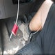 JA4AD3A32GZ003730 2016 Mitsubishi Outlander Se auction photo thumbnail 11