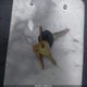JS1VY51A6X2105265 1999 Suzuki Vl1500 auction photo thumbnail 11
