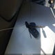 5TDBT44A12S076076 2002 Toyota Sequoia Sr5 V8 auction photo thumbnail 11