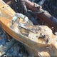 4S4BSBFC6F3287637 2015 Subaru Outback 2.5I Premium auction photo thumbnail 9