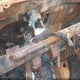 1GCGTCE36F1227688 2015 Chevrolet Colorado Z71 auction photo thumbnail 7