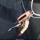 1G1PC5SB5D7185329 2013 Chevrolet Cruze 1Lt Auto auction photo thumbnail 11