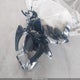 JS1GV77A822101960 2002 Suzuki Gsf1200 S auction photo thumbnail 12