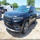 1C4PJMDX7KD126376 2019 Jeep Cherokee Limited 4X4 auction photo thumbnail 2
