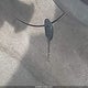 1HGCG56482A044147 2002 Honda Accord 2.3 Lx auction photo thumbnail 11