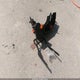 JH2RC5372FK500489 2015 Honda Vt750 C2B auction photo thumbnail 12