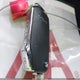 KNDPU3DG6S7207921 2025 Kia Sportage Hybrid Lx auction photo thumbnail 11