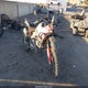 ZDMXANDT9RB008035 2024 Ducati Desert X auction photo thumbnail 1
