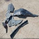 1N4AA6FV3MC502650 2021 Nissan Maxima Platinum Xtronic Cvt auction photo thumbnail 12