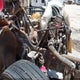 1FUJF0CVX4LM53081 2004 Freightliner Columbia 112 auction photo thumbnail 9