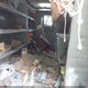 1GC2GTBG3A1149191 2010 Chevrolet Express 3500 Work Van auction photo thumbnail 8