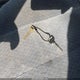 1NXBR12E11Z540668 2001 Toyota Corolla Le auction photo thumbnail 11